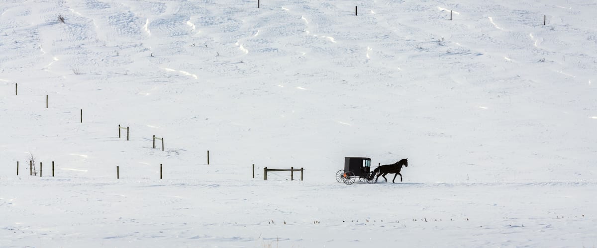 A snow-covered landscape with a horse-drawn carriage.