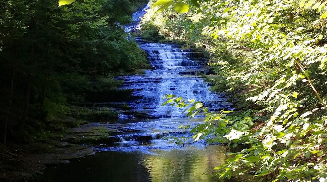 One of my favorite spots to go. If you hike all the way up you can access the man-made lake. Great place to kayak. There is a small beach as well but you need to purchase a permit to use it. Fishing is free on other side