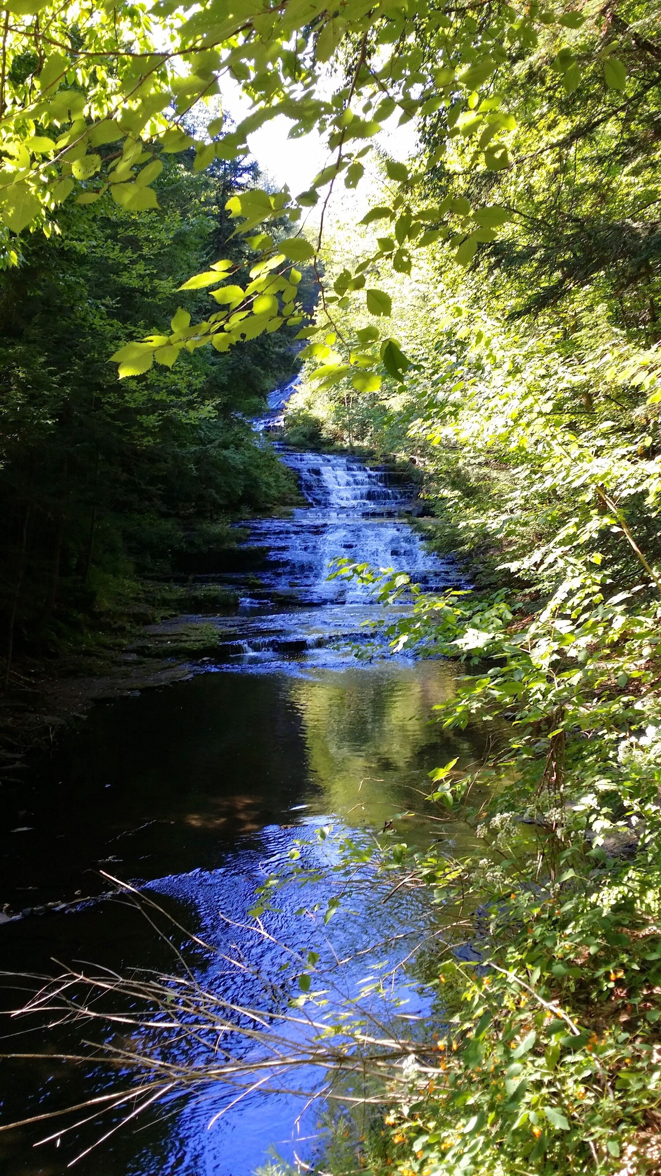 A serene waterfall cascading into a calm river surrounded by lush greenery.