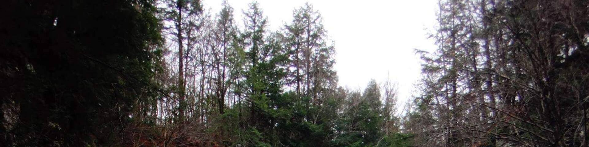 Rensselaerville falls is a spectacular place