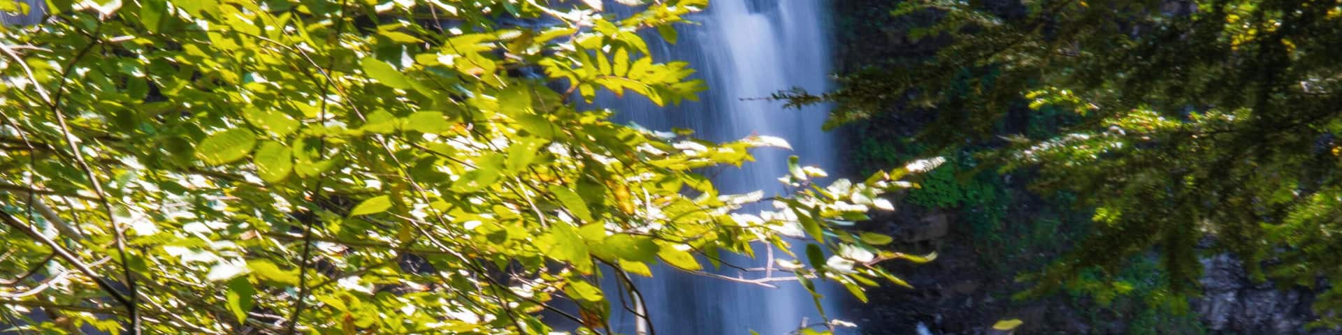 This was a shot I took along the trail to the Falls. Well worth it!