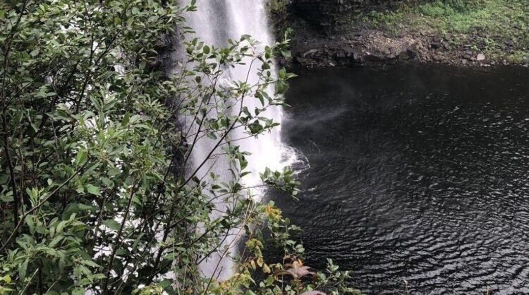 Beautiful waterfall on the Salmon River. Short hike from parking area