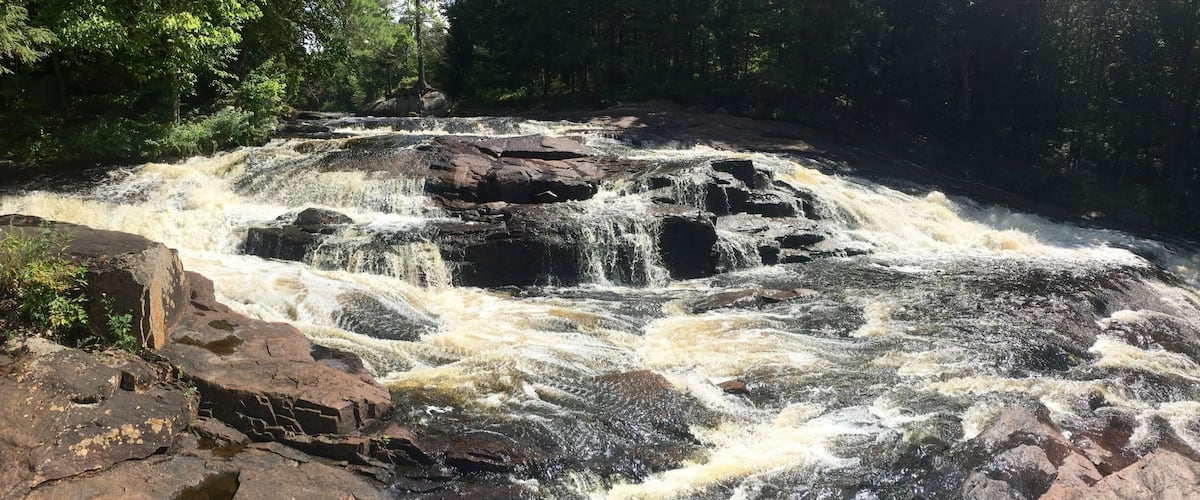 A turbulent river flowing over rocks in a forested area.