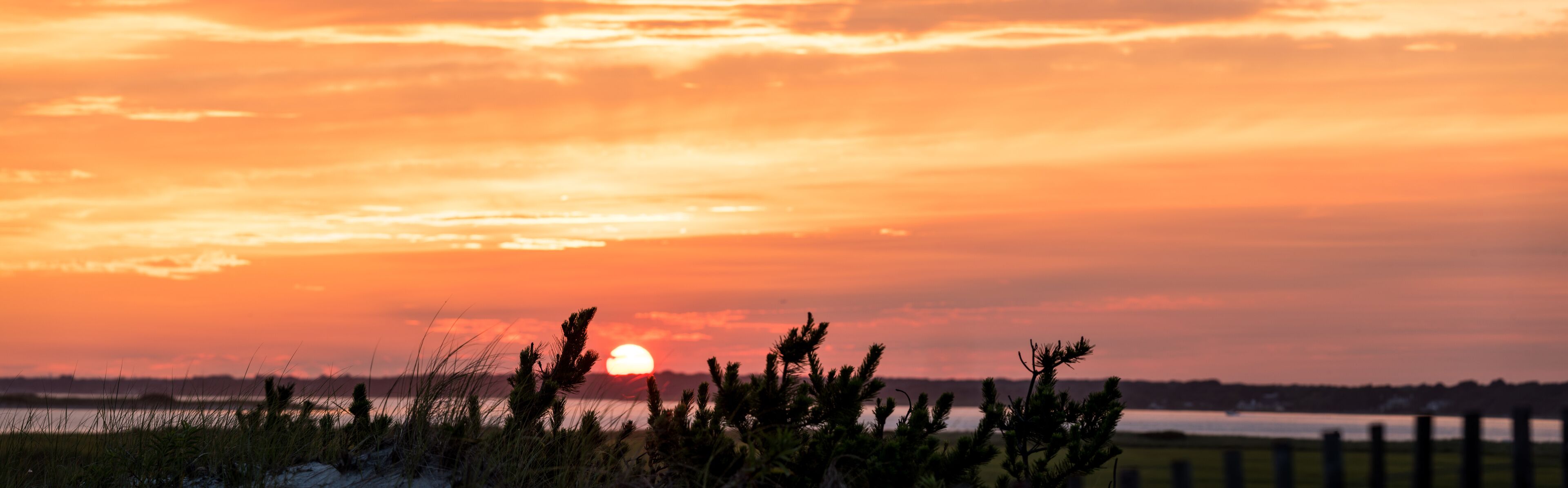 A sunset over a coastal landscape with grasses and a distant shoreline.