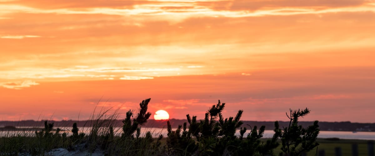 A sunset over a coastal landscape with grasses and a distant shoreline.