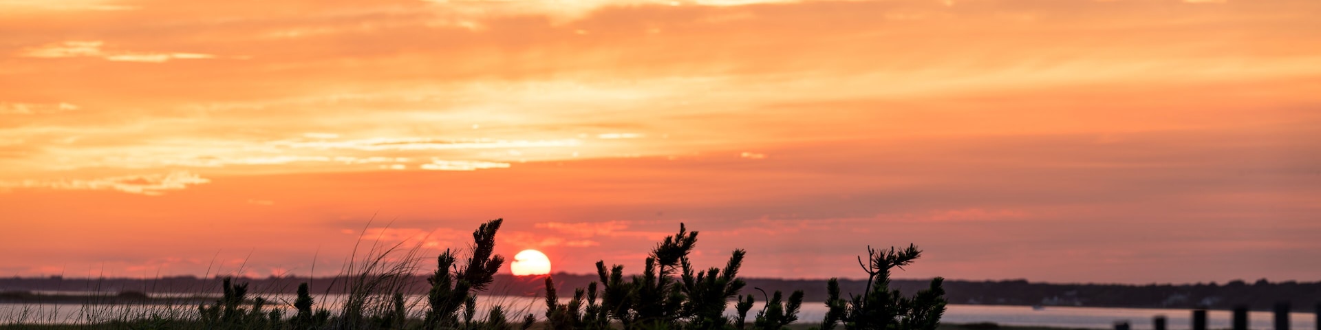 A sunset over a coastal landscape with grasses and a distant shoreline.