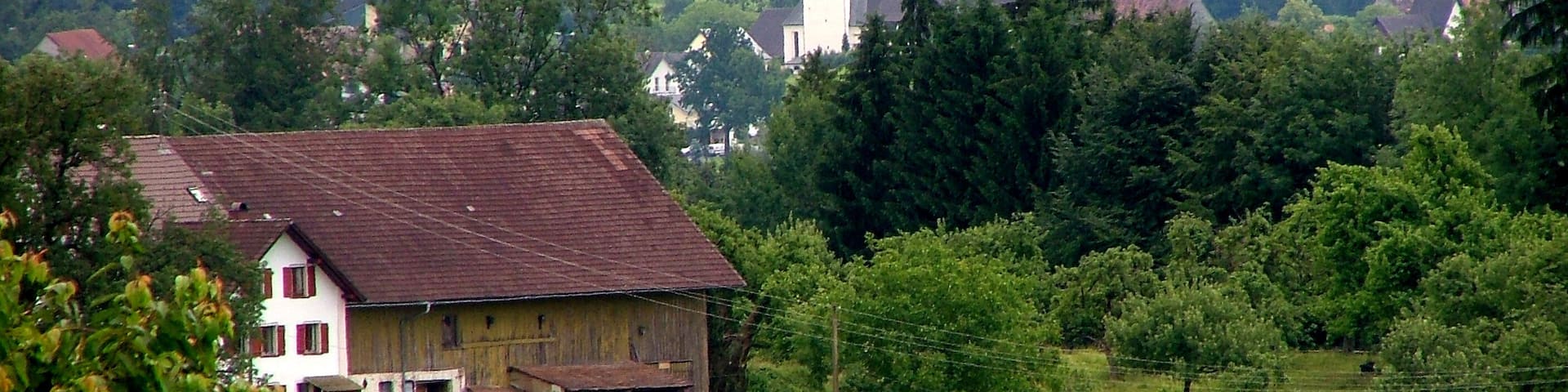 Blick auf Niederstaufen