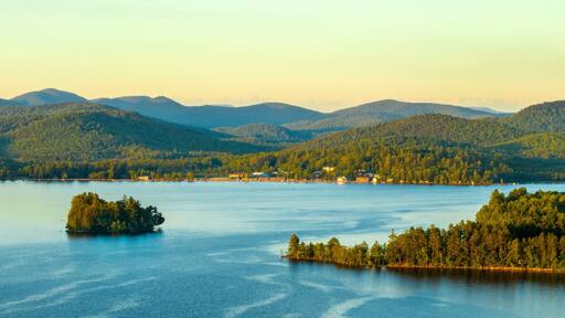 スペキュレーター