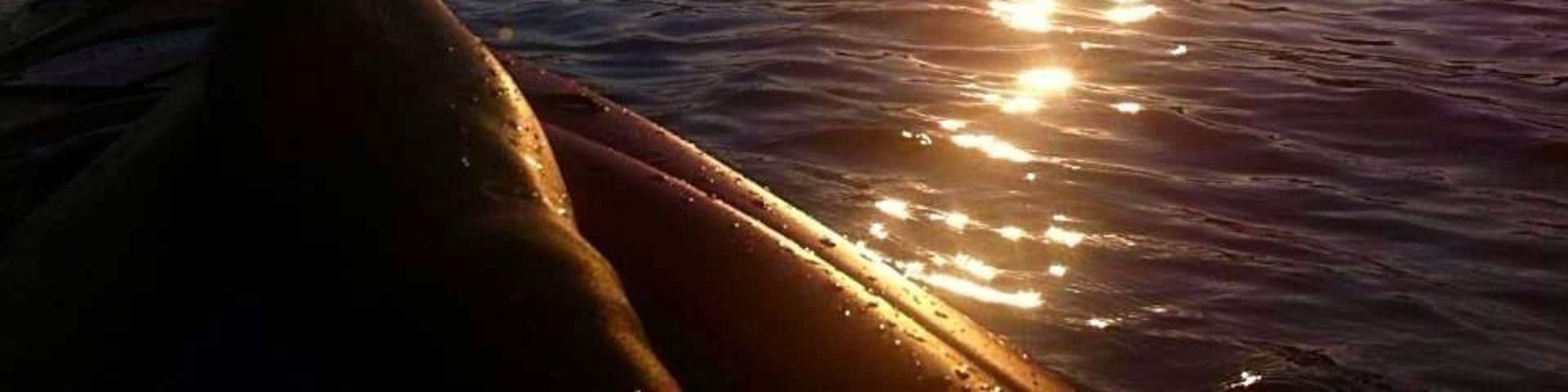 one of my favorite kayak spots!
#goldenhour