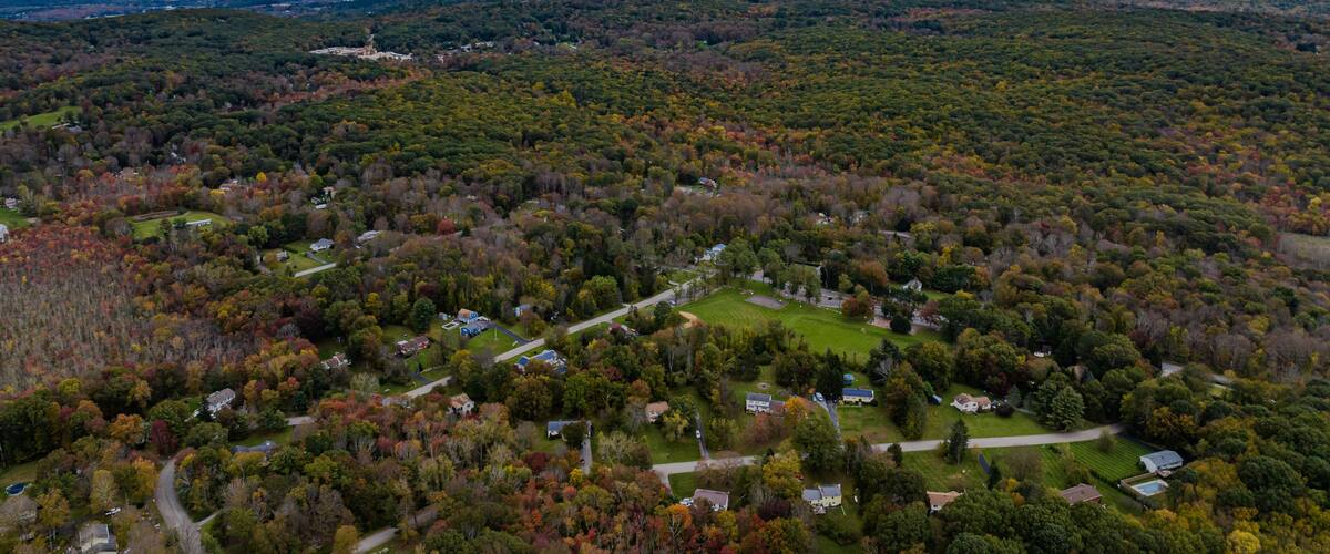 An aerial view of a residential area with houses surrounded by autumn-colored trees and a cloudy sky.