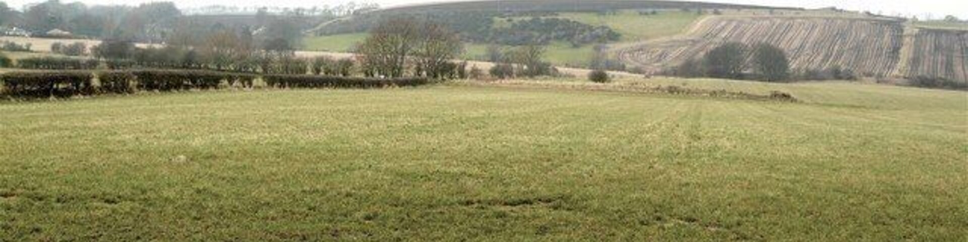 Um campo gramado com uma colina ao longe e uma linha de árvores.