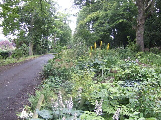 Fine herbaceous border By the driveway into Binny Plants nurseries, near Ecclesmachan. Needless to say the nursery specialises in herbaceous plants for the garden.