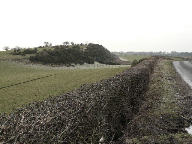 Newbigging Craig The little shadow provided by the outcrop was enough to hold on to the frost.