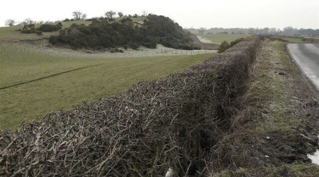 Newbigging Craig The little shadow provided by the outcrop was enough to hold on to the frost.
