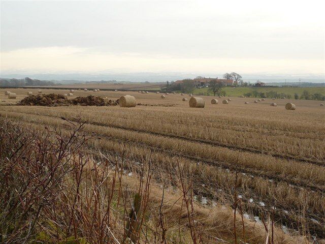Nutrient recycling The byres at Hillend farm have been mucked out and once conditions permit, the contents will be spread on the arable land.