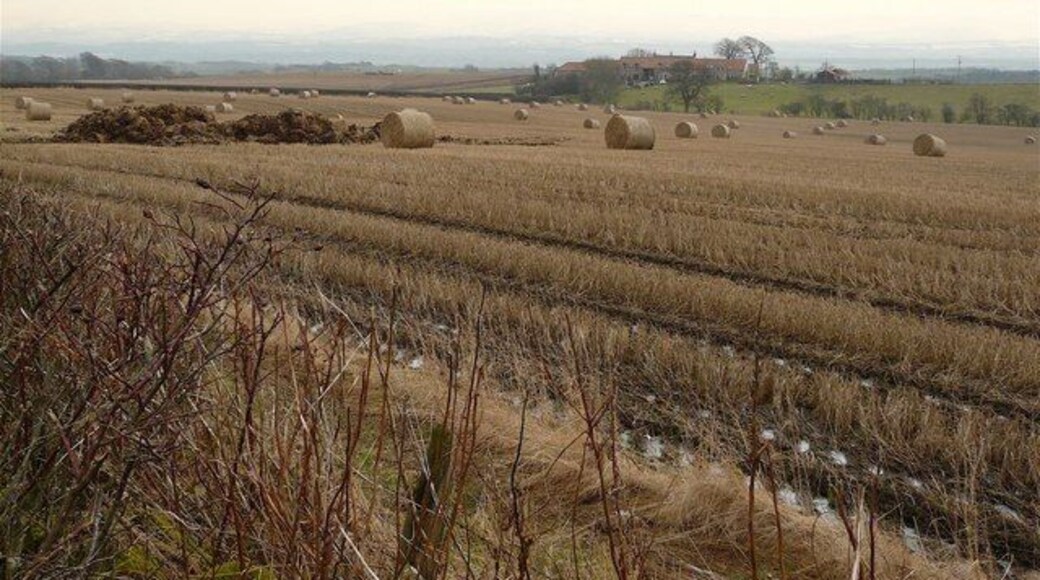 Nutrient recycling The byres at Hillend farm have been mucked out and once conditions permit, the contents will be spread on the arable land.