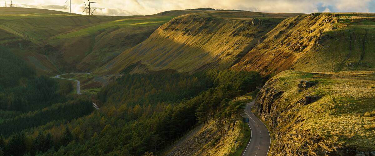 A sheep in the evening sun near Treorchy, overlooking the Ogmore Valley in Rhondda Cynon Taf, Mid Glamorgan, Wales, UK
