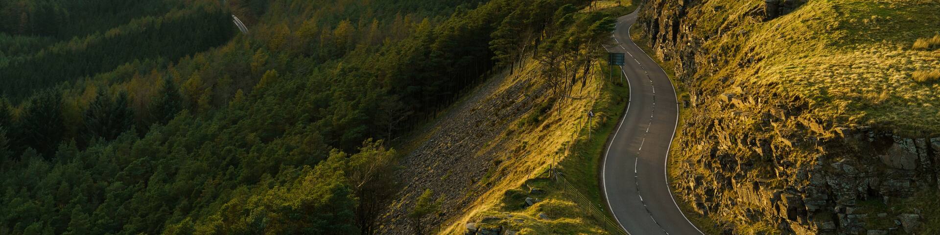 A winding road through a valley with hills, a forest, and wind turbines in the distance.