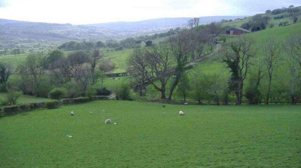 Bwlch-gwyn farm