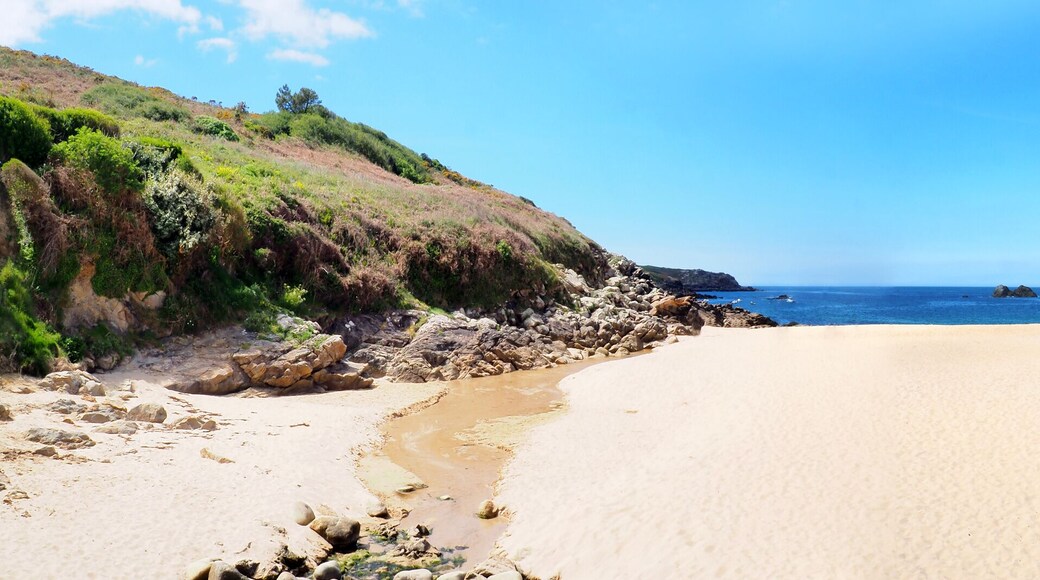 بيوزيك-كاب-سيزون