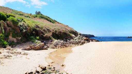 بيوزيك-كاب-سيزون