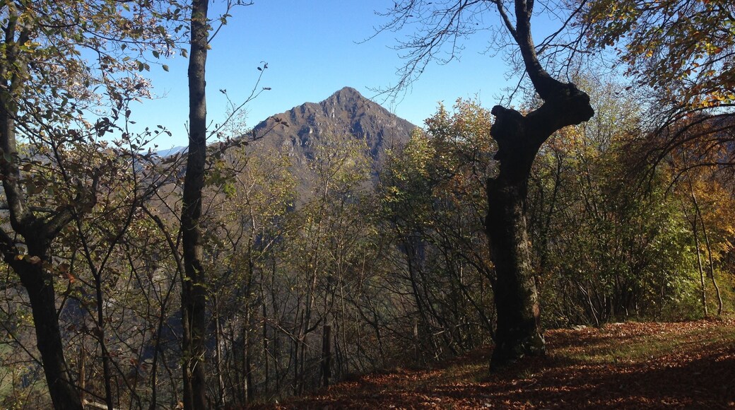 Parco Naturale Adamello (Q47780554)