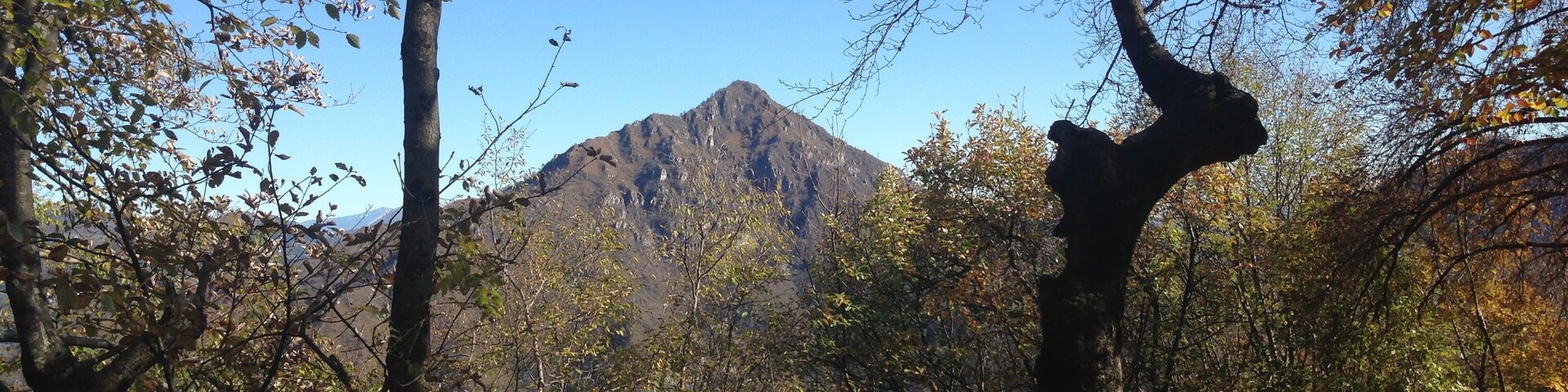 Parco Naturale Adamello (Q47780554)