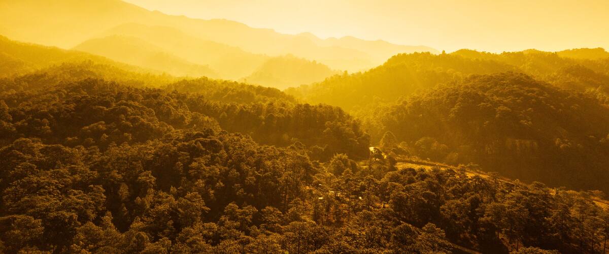 A mountainous landscape with dense forests and a bright sun in the sky.