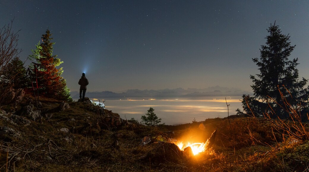 Una persona de pie sobre un saliente rocoso con una fogata, rodeada de árboles y un cielo nocturno estrellado.