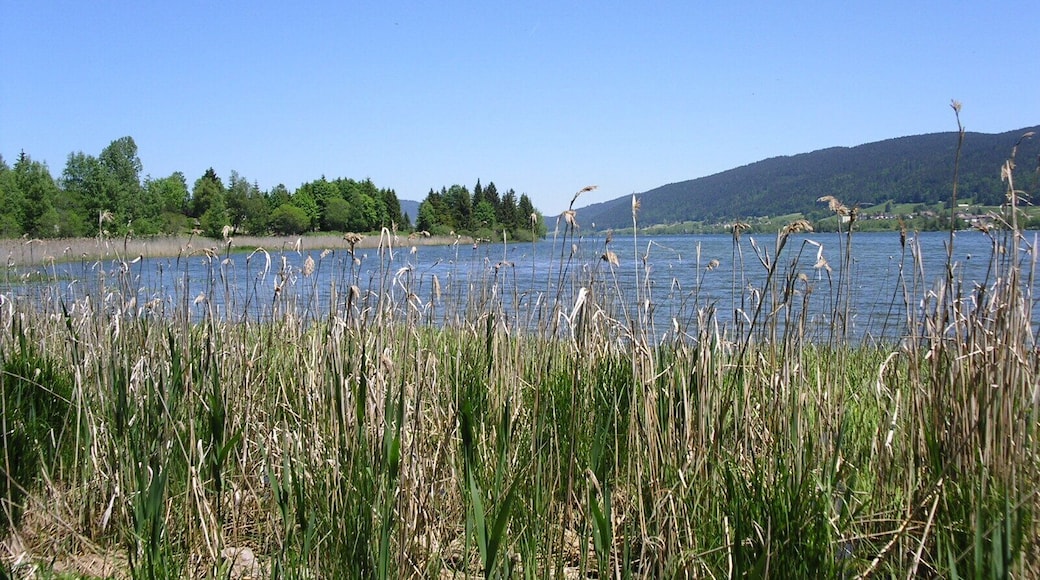 Lac de Joux