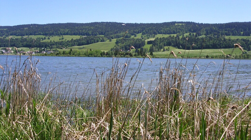 Lac de Joux