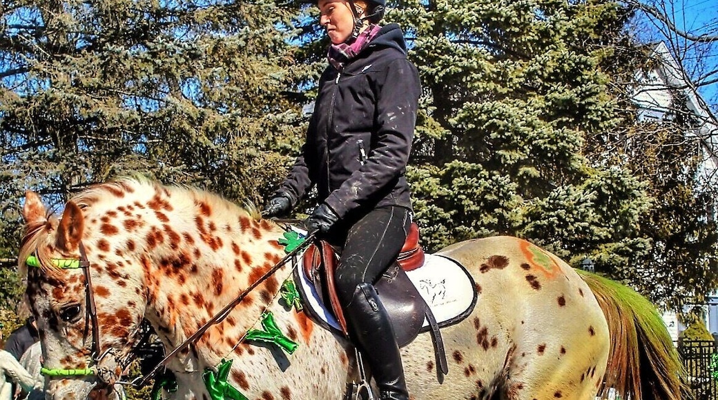 A real beauty
St. Patrick’s day Parade