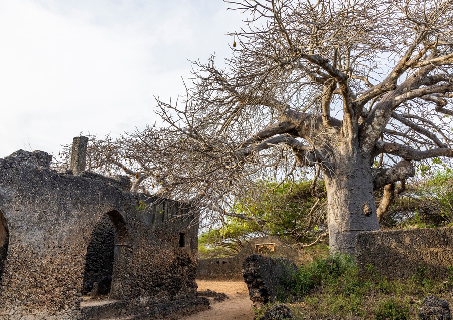 A historical stone structure with arches, overgrown vegetation, and a large tree in the foreground.