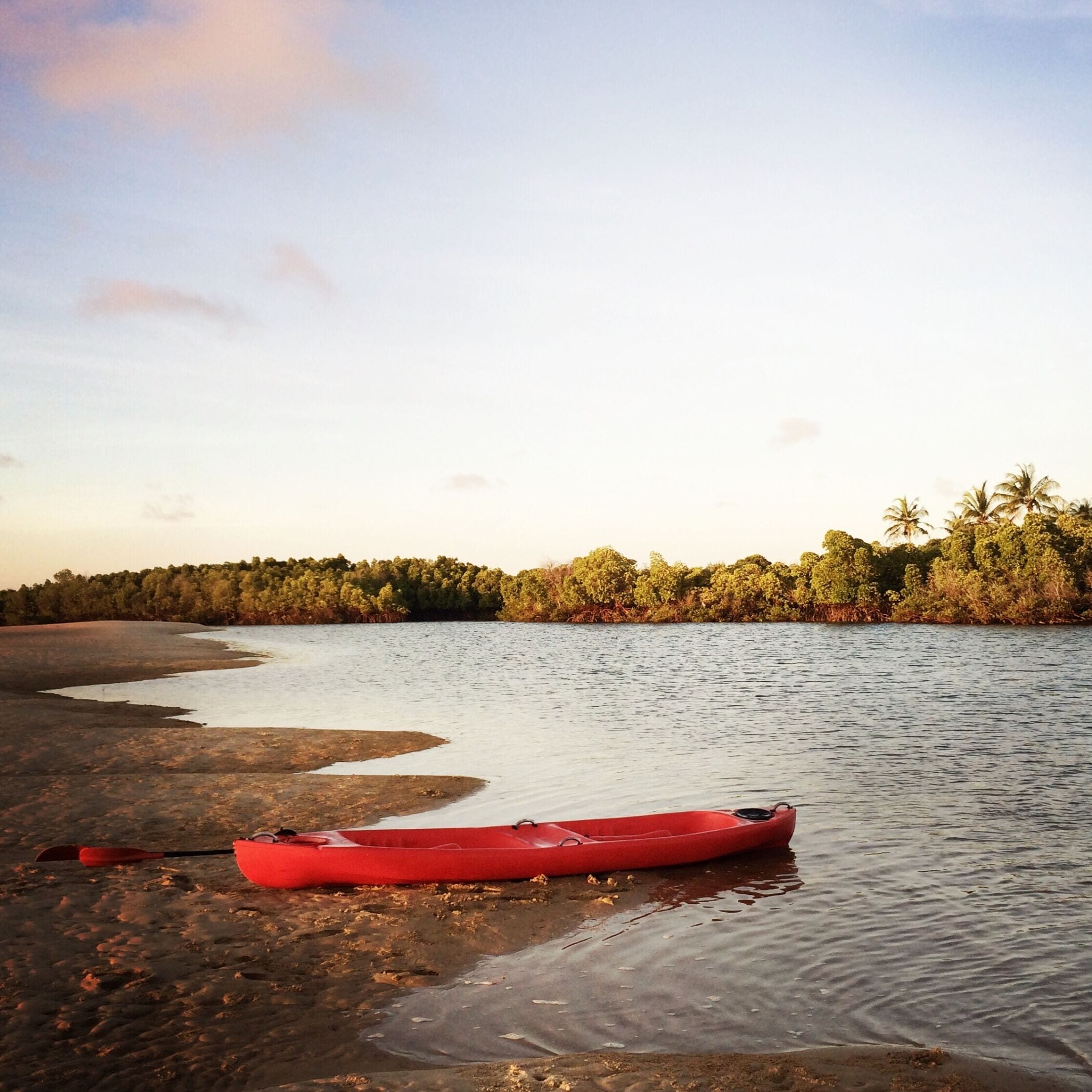 A large portion of Manda Island is covered in mangrove forests, and it is possible to kayak through them during high tide.