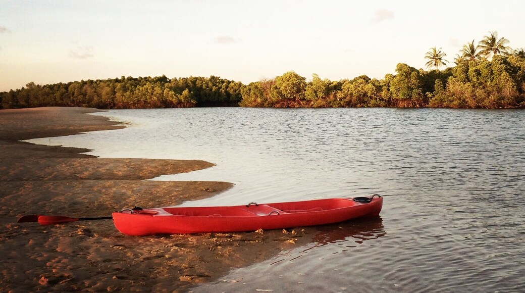 A large portion of Manda Island is covered in mangrove forests, and it is possible to kayak through them during high tide.