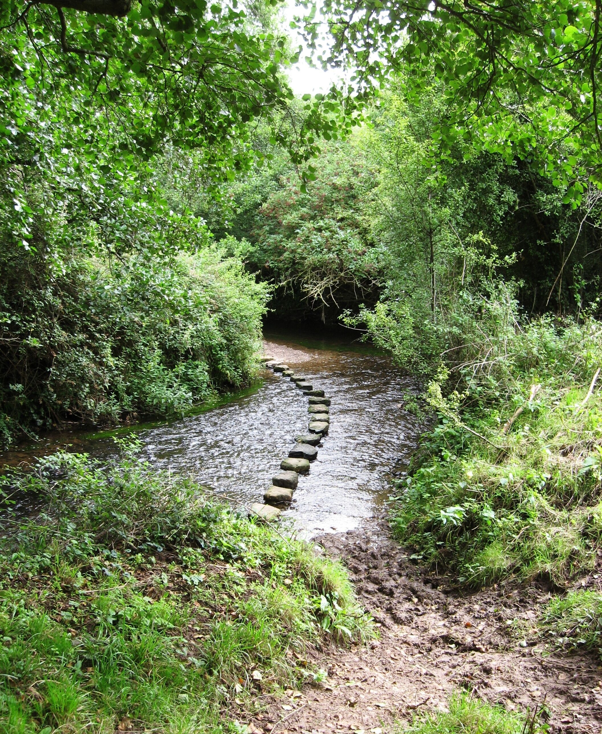 Stepping Stones, Cam Brook.