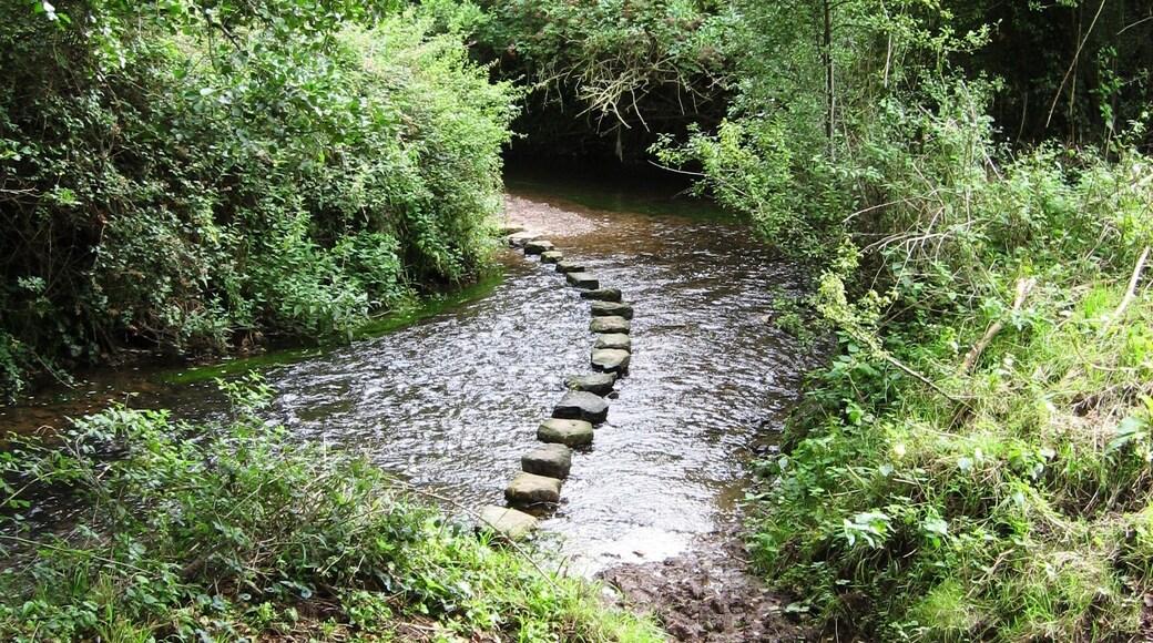 Stepping Stones, Cam Brook.
