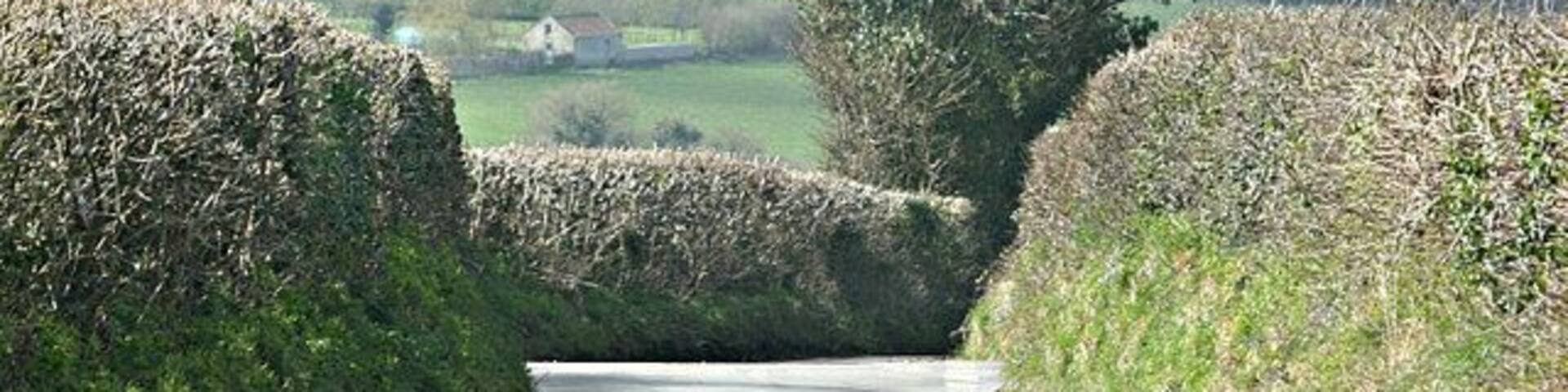 A narrow rural road curving through a hilly landscape with stone walls and sparse vegetation.