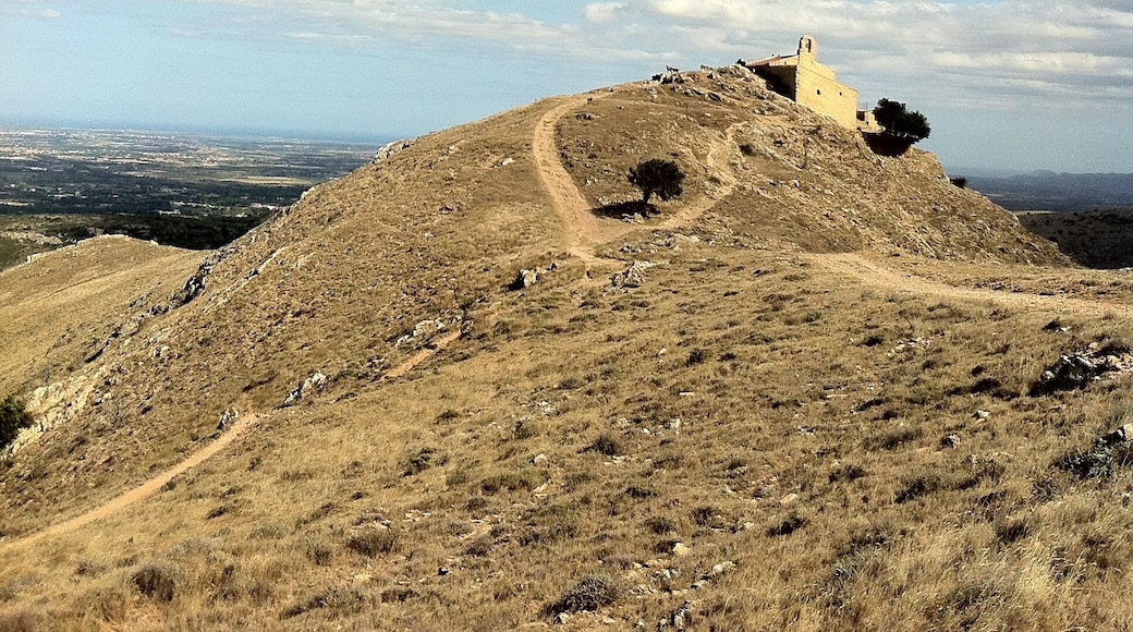 66300 Camélas, France