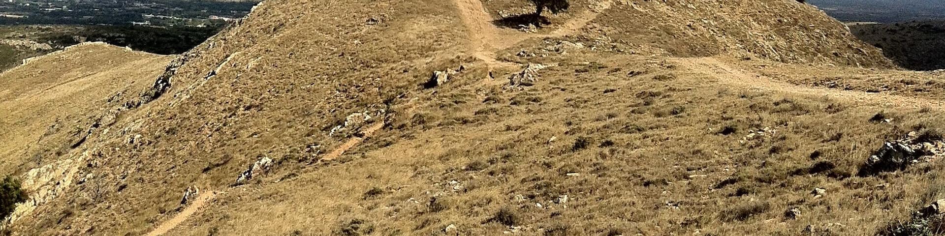 66300 Camélas, France