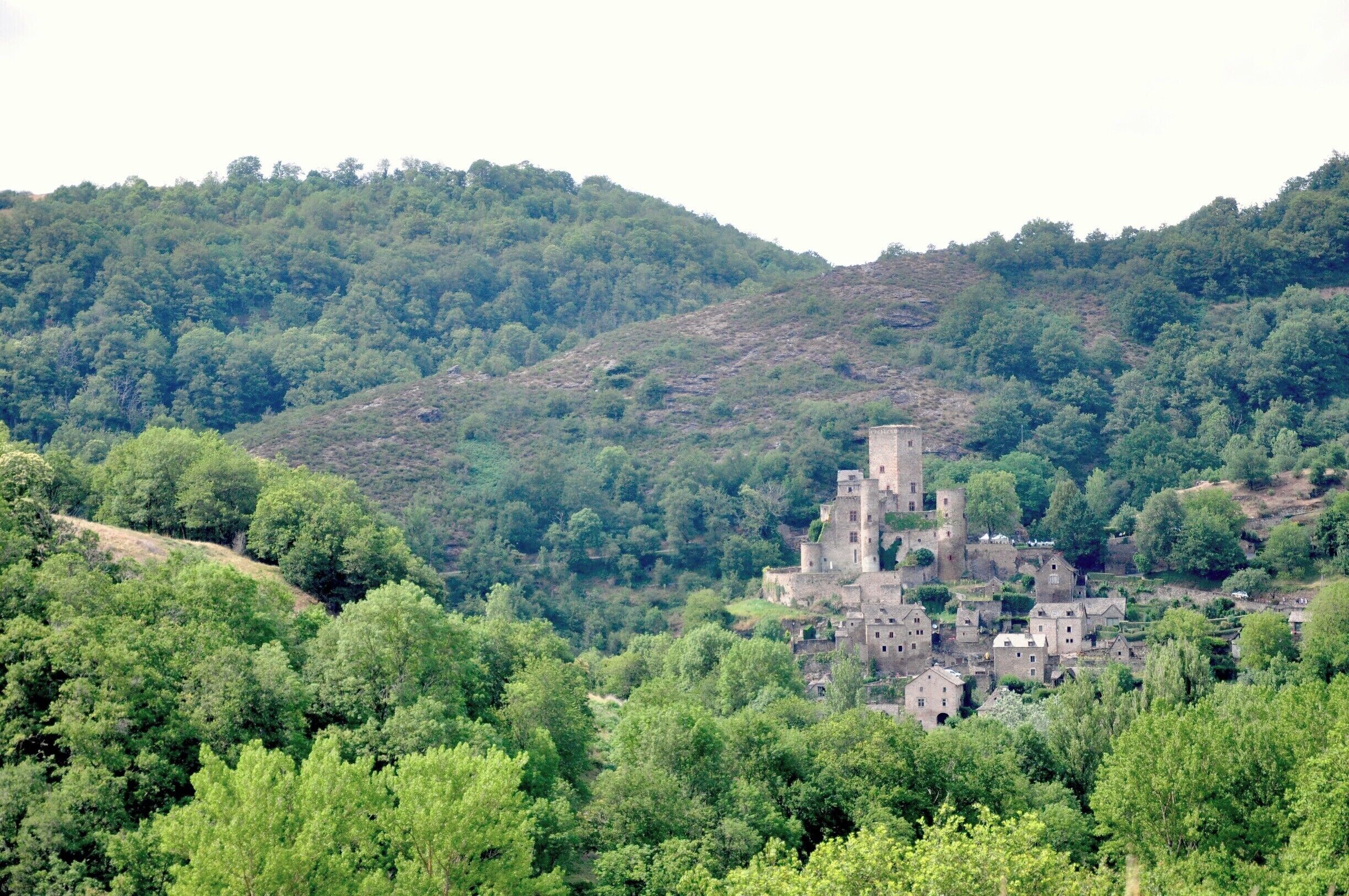 A medieval castle surrounded by dense forest and hills.