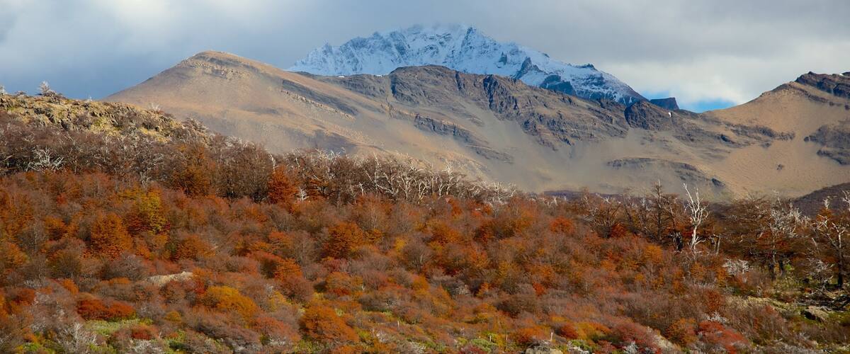 Parque Nacional Los Glaciares mostrando escenas tranquilas, montañas y un lago o espejo de agua