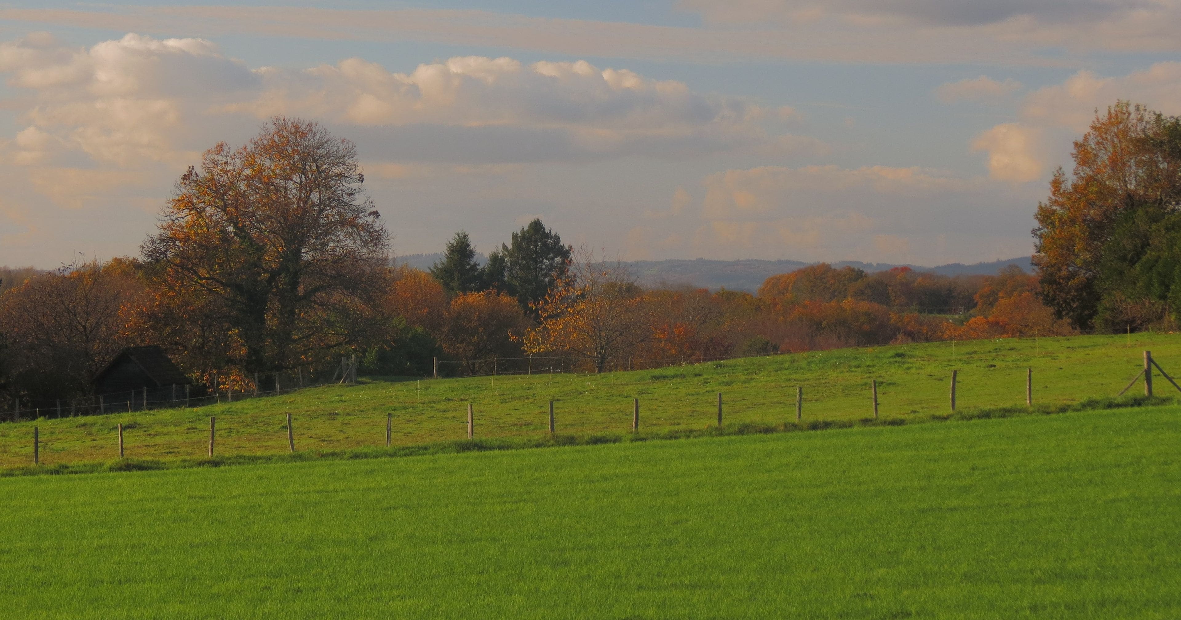 A green field with a wooden fence, trees with autumn leaves, and a cloudy sky.