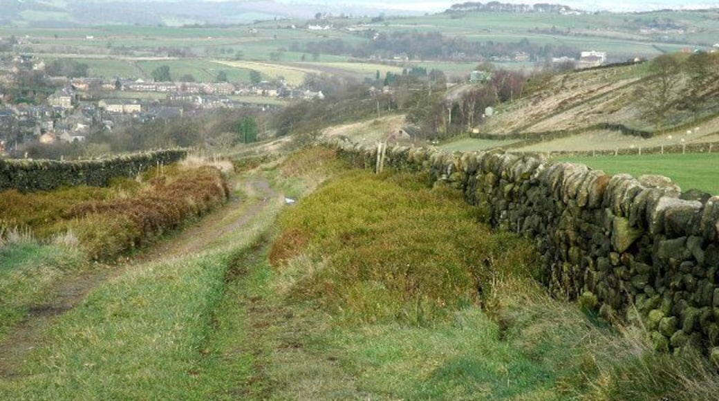 From Hartcliff Brow to Hill Side. A classic upland track in Yorkshire, flanked by stone walls and with clumps of bilberry and heather.