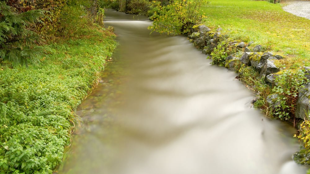 A narrow stream flowing through a lush green landscape with dense foliage and a stone wall on one side.
