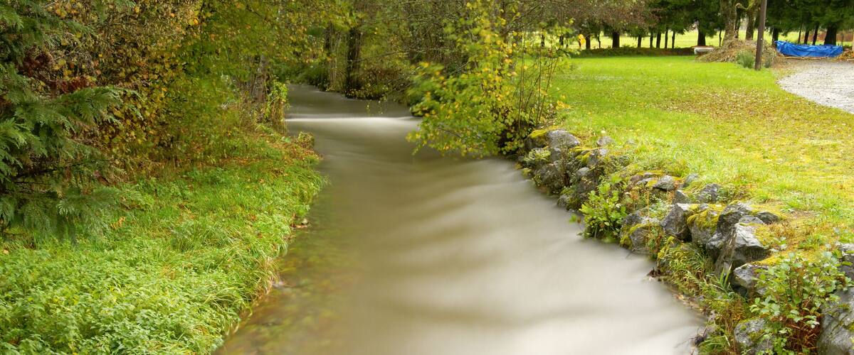 A narrow stream flowing through a lush green landscape with dense foliage and a stone wall on one side.