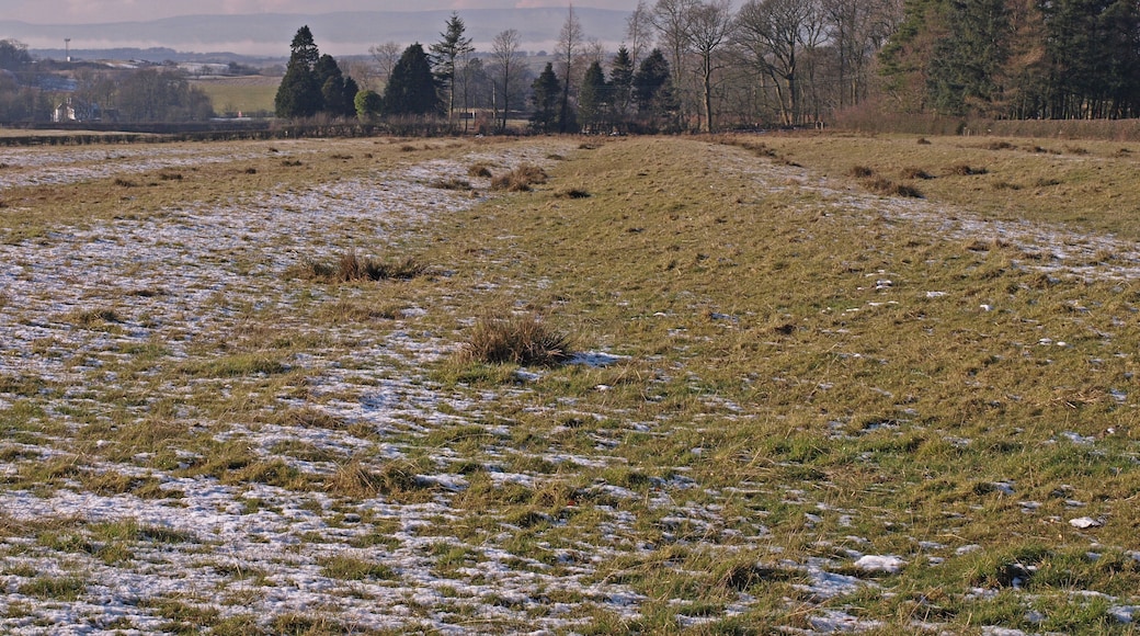 Field, Dunlop The sun has melted some of the frost and light snow from the ridges in this field. Way in the distance fog fills the Garnock valley below the hills.