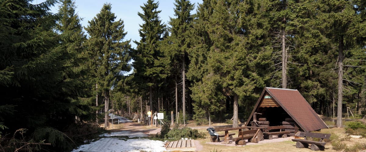 A cabin with a sloped roof surrounded by dense evergreen trees and a snow-covered path.