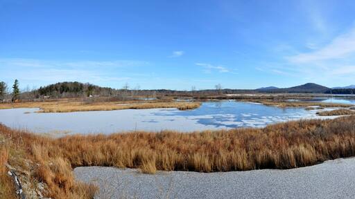 كانيونجا ليك