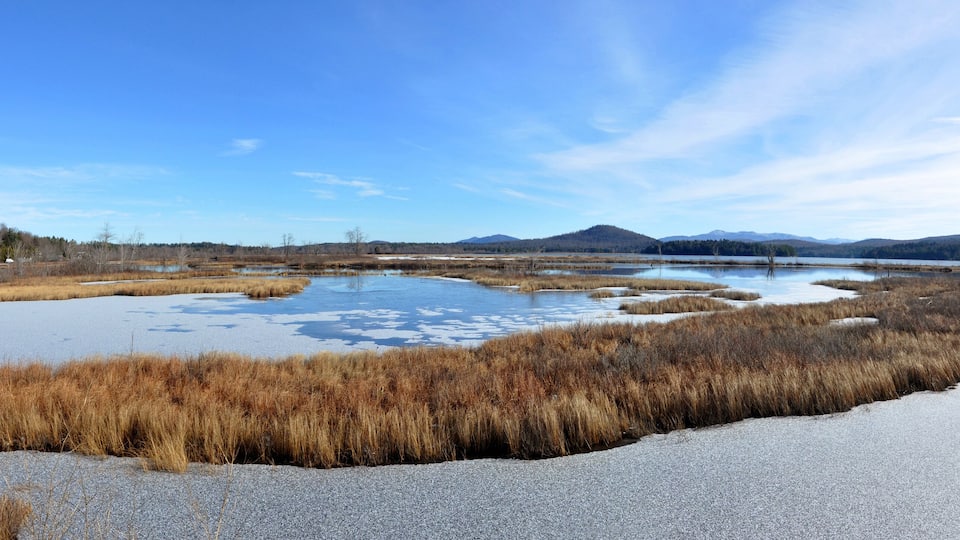 A landscape with a frozen pond, dry grass, and distant mountains.
